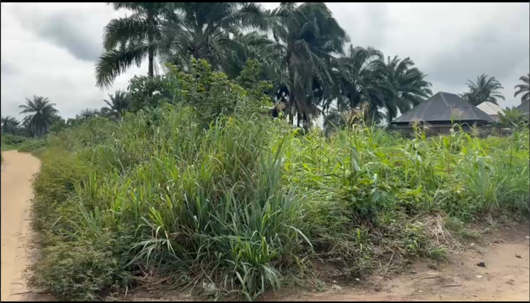 2 plots of land for sale.png