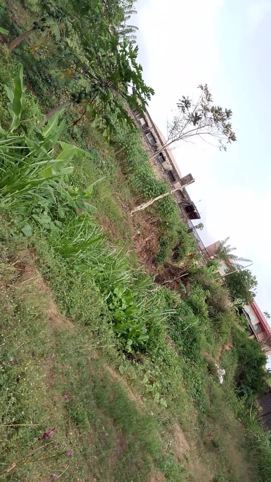 Landmark For sale in Ibadan, Nigeria.jpeg